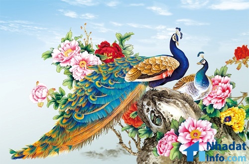 Bạn biết gì về Khổng Tước, loài chim Phật Mẫu cao quý?