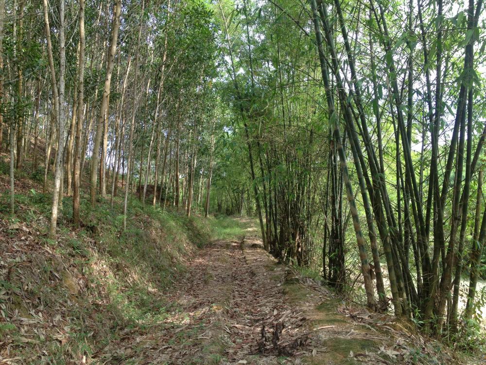 Bán 6 -10 ha đất 50 năm tại Đú Sáng, Kim Bôi, Hoà Bình 953704