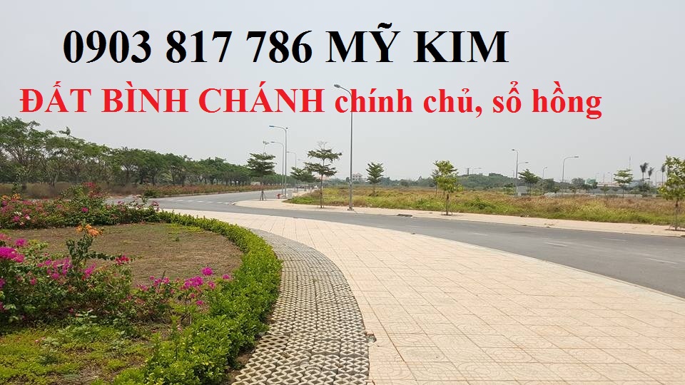 Bán đất bình chánh chính chủ - sổ hồng  đẳng cấp khu phố Mỹ Hưng 2 2776610