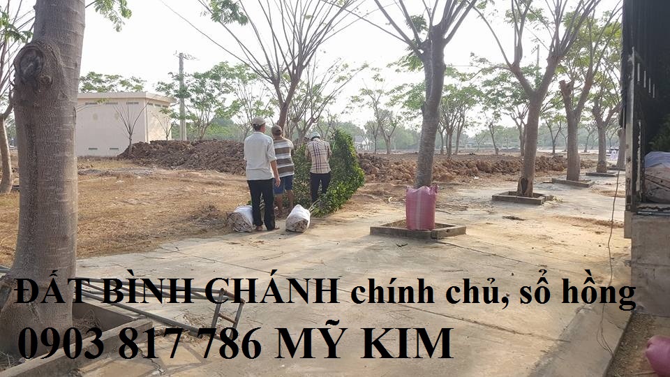 Bán đất bình chánh chính chủ - sổ hồng   KHU ĐÔ THỊ MỚI chỉ 285 TRIỆU/100m2 2858074