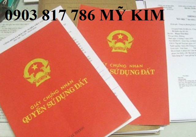 Đất Bình Chánh chính chủ giá rẻ sổ hồng riêng Nguyễn Hữu Trí  2943732