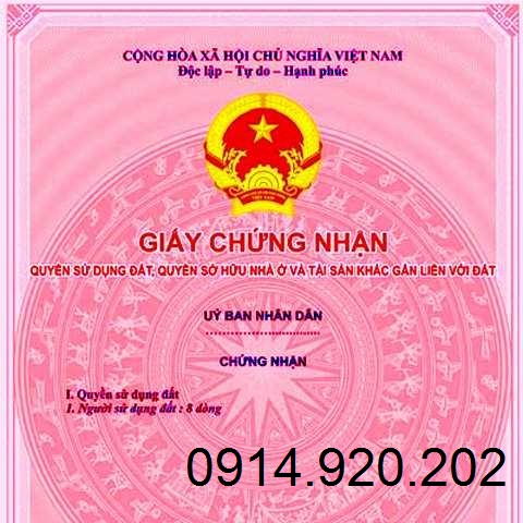 Đất đường hẻm Tăng Nhơn Phú, P. Tăng Nhơn Phú B, Q 9, DT 16x14m, giá 4 tỷ 10166289