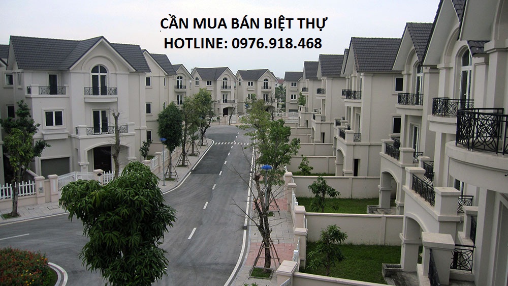 Cần tiền bán 1 số căn biệt thự Dương Nội, Hà Đông, giá rẻ, sổ đỏ chính chủ 4780611