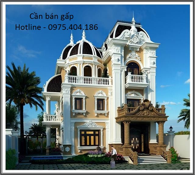 Chính chủ gửi bán gấp biệt thự Dương Nội, Nam Cường 180m2, 225m2 giá chỉ từ 30tr/m2- 0975.404.186 6155877