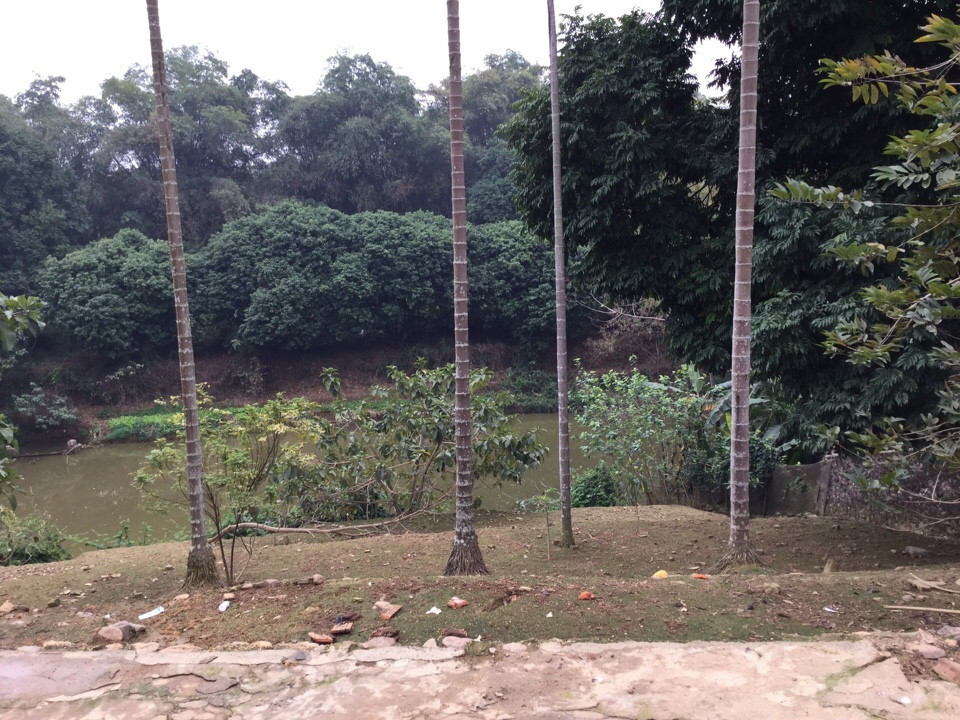 Bán 2000m2 đất thổ cư, có nhà sàn tại Liên Sơn, Lương Sơn, Hoà Bình 6258377
