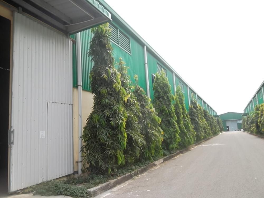 Cho thuê nhà xưởng 5000 m2, trong KCN Tân Đô, Đức Hòa, Long An 6225581