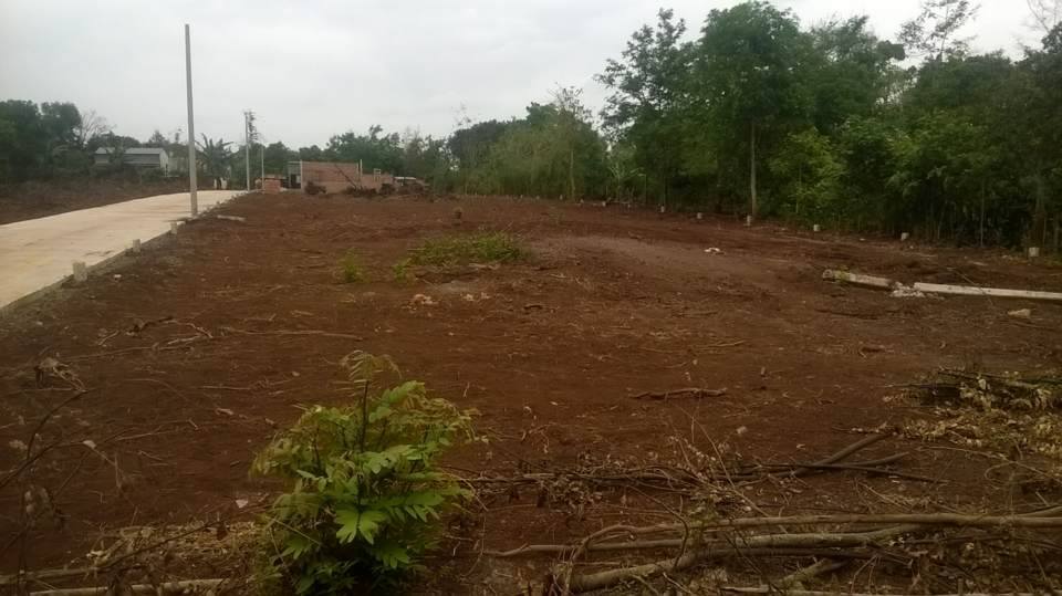 Bán đất nền dự án hẻm Y Moan, Buôn Ma Thuột 6469807