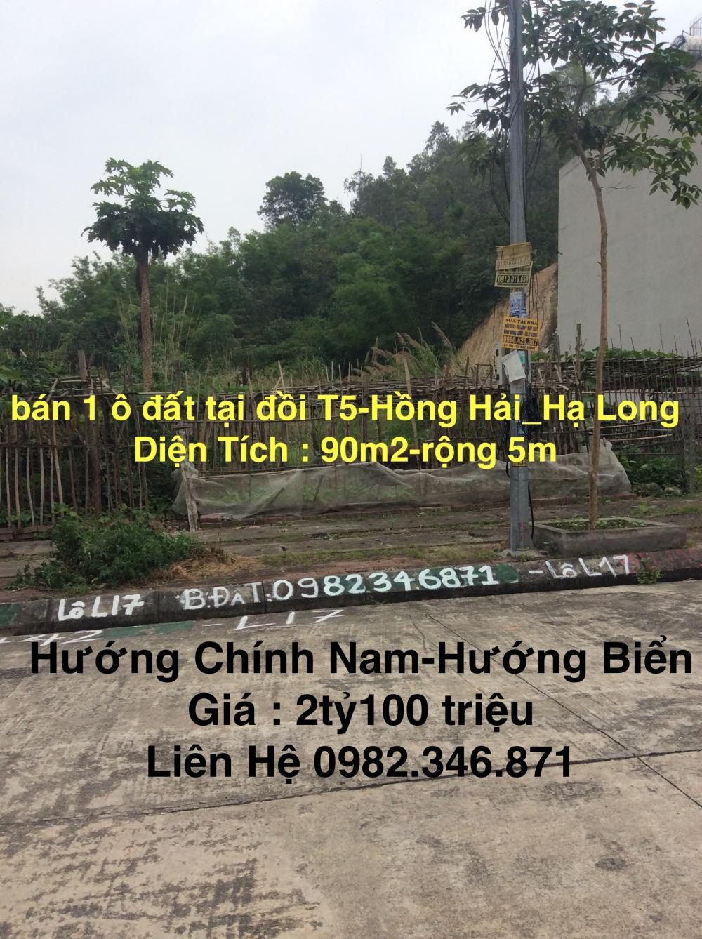 Đất đồi trung tâm Hạ Long, ngắm kì quan trong tầm mắt 6788324