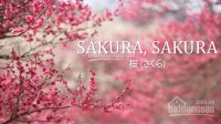 Đất ven đường Trường Sa dự án Sakura Central Park - Chính thức nhận giữ chỗ để nhận vị trí đẹp nhất 7241470