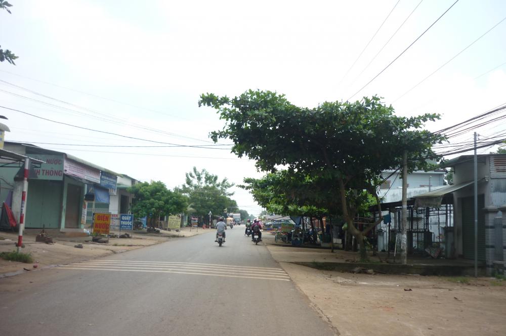 Chính chủ kẹt tiền bán đất gấp, gần thị trấn Trảng Bom 7239485