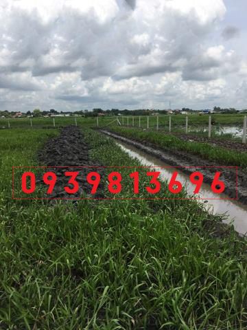 Kẹt tiền, bán gấp lô đất làm vườn ở xã Tân Thạnh Đông, DT 1100m2, giá 850 triệu, SHR 7508536