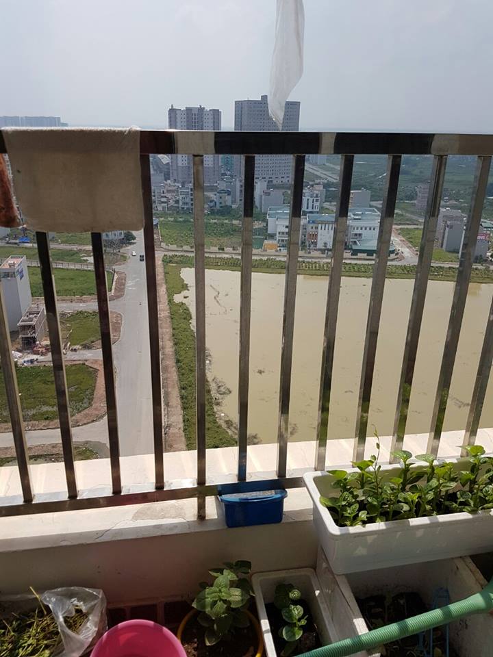 Căn hộ số 08 tòa HH2 Dương Nội, view đẹp, đã có sổ, 72m2 cần bán 7515645