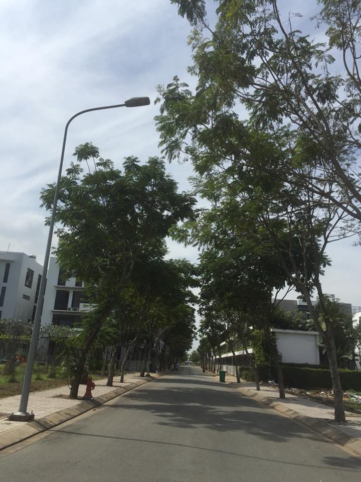 Bán đất ngay trung tâm KĐT Cát Lái Quận 2, mặt tiền đường Nguyễn Thị Định, đã có SHR 8008459