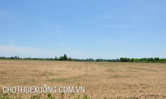 Cho thuê đất trống xây dựng nhà xưởng tại Cụm CN LOng Biên Hà Nội  9135847