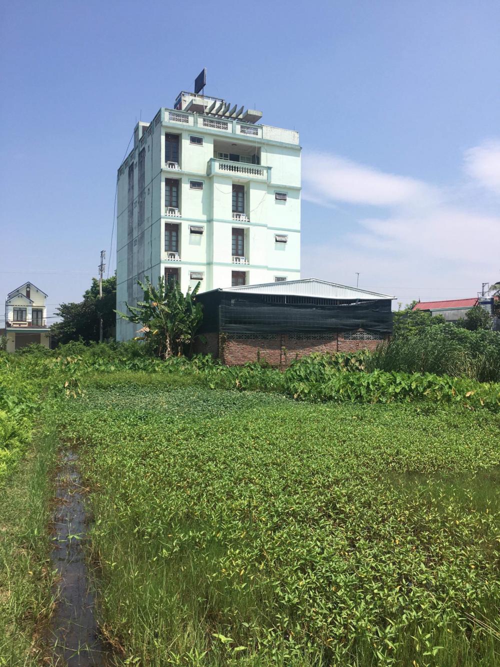 Bán nhà nghỉ chính chủ tại phường Hòa Nghĩa, Dương Kinh, diện tích 280m2, giá thỏa thuận 9515076