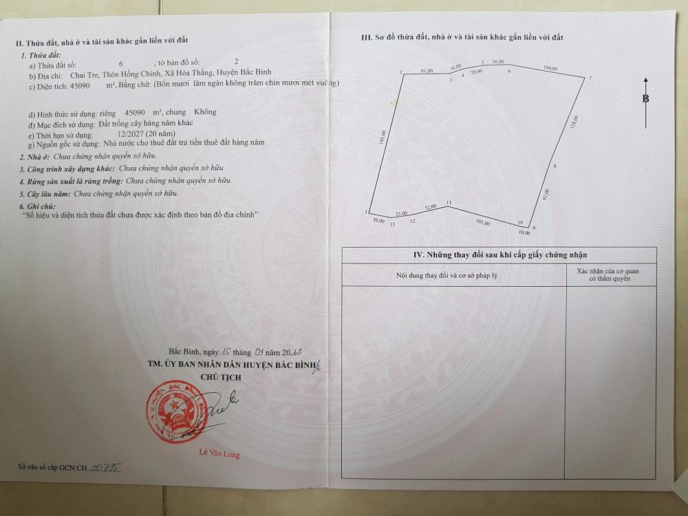Bán lô đất 23000m2 đang trồng cây lâu năm xã Hoà Thắng, Bắc Bình, Bình Thuận 9567370