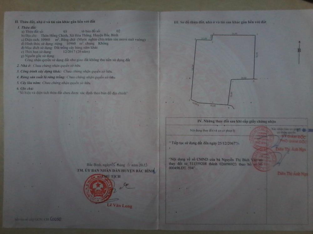 Bán lô đất 23000m2 đang trồng cây lâu năm xã Hoà Thắng, Bắc Bình, Bình Thuận 9567370