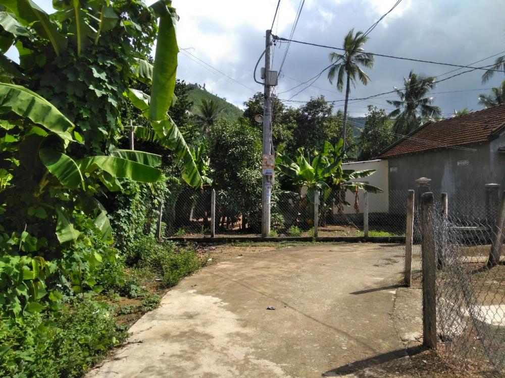 Bán đất thổ cư xã Suối Cát, Cam Lâm, diện tích 5x25m 9632507