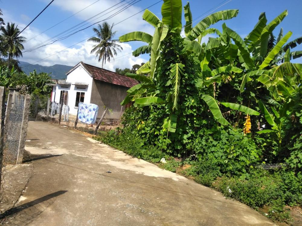 Bán đất thổ cư xã Suối Cát, Cam Lâm, diện tích 5x25m 9632507