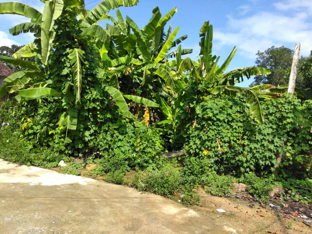 Bán đất thổ cư xã Suối Cát, Cam Lâm, diện tích 5x25m 9632507