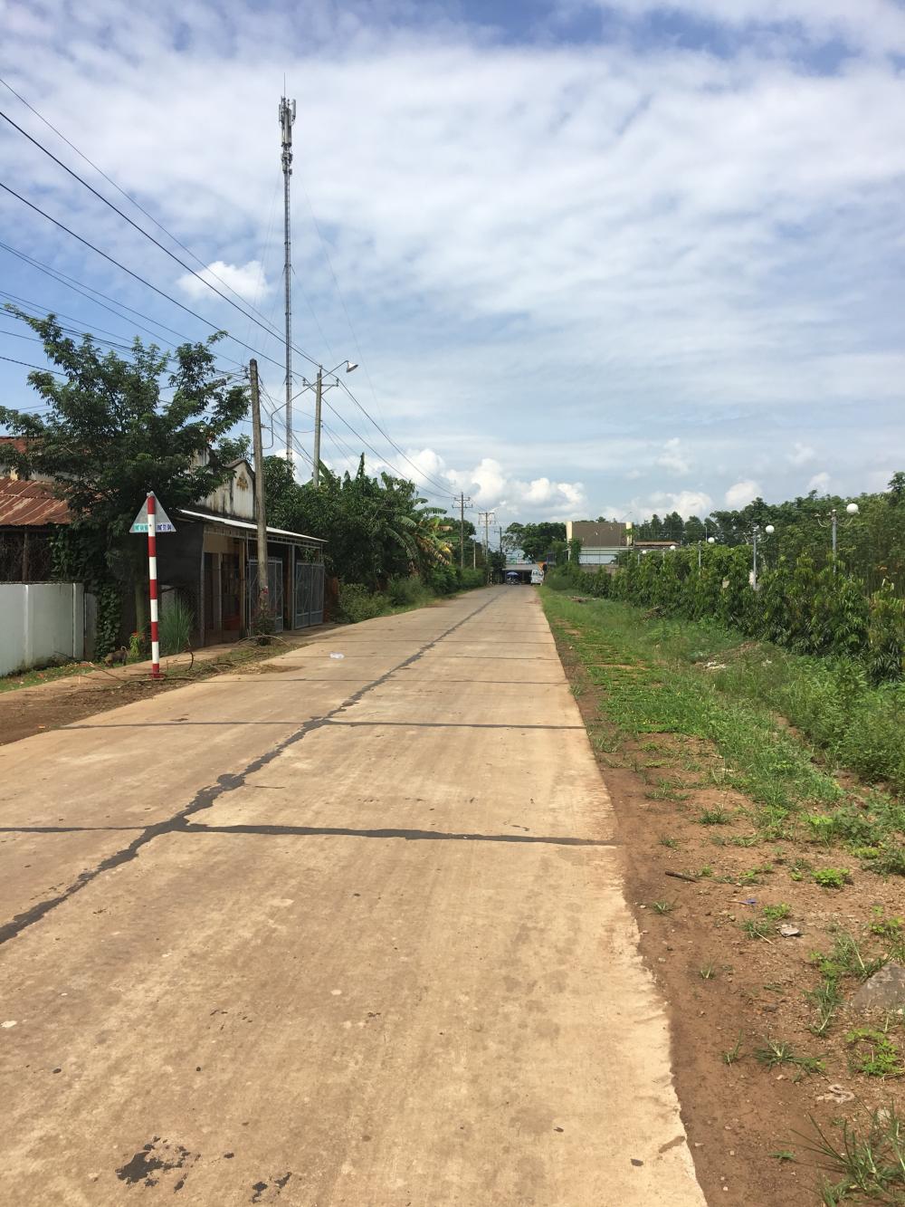 Bán đất Xuân Đông Cẩm Mỹ Đồng Nai gần trường tiểu học Nguyễn THượng Hiền 9586031