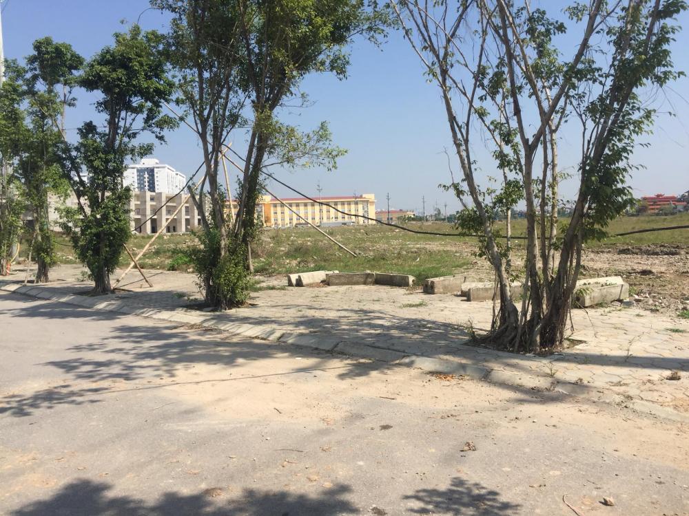 Bán đất tại thôn Khúc Thủy, xã Cự Khê, Thanh Oai, Hà Nội 10073215