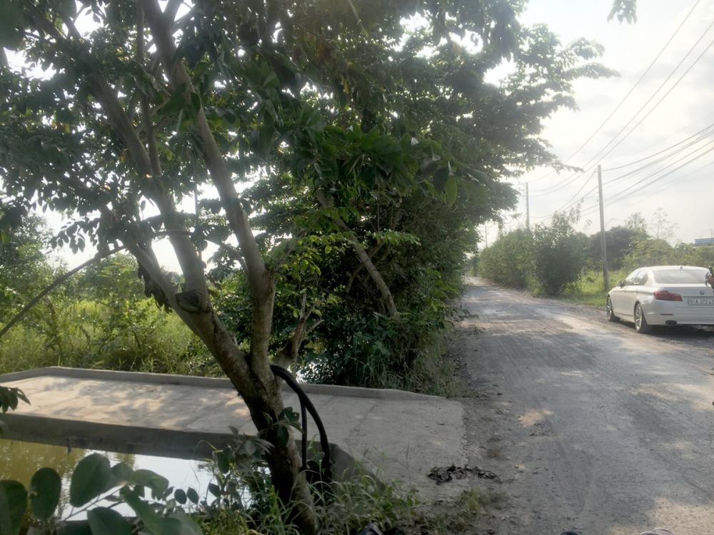 Bán đất vườn 2400m2 xã Hưng Long, huyện Bình Chánh, TP Hồ Chí Minh. Giá chỉ 3,2tr/m2, sổ hồng riêng 9660385