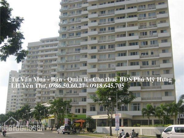 Bán căn hộ Grand View B Phú Mỹ Hưng đường Nguyễn Đức Cảnh giá 4.5 tỷ
 9633073
