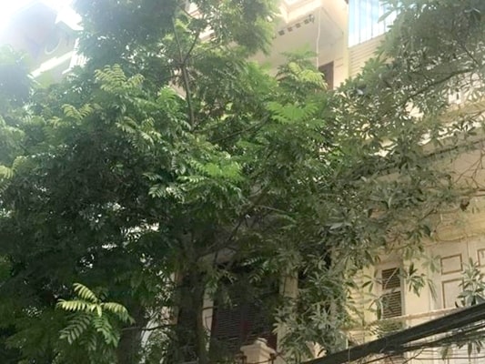 Chính chủ bán nhà liền kề khu F3, khu đô thị Đại Kim, Quận Hoàng Mai 9709782