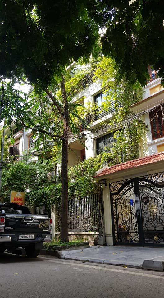 Bán biệt thự bán đảo Linh Đàm, nơi hội tụ tất cả những tinh hoa 9829384