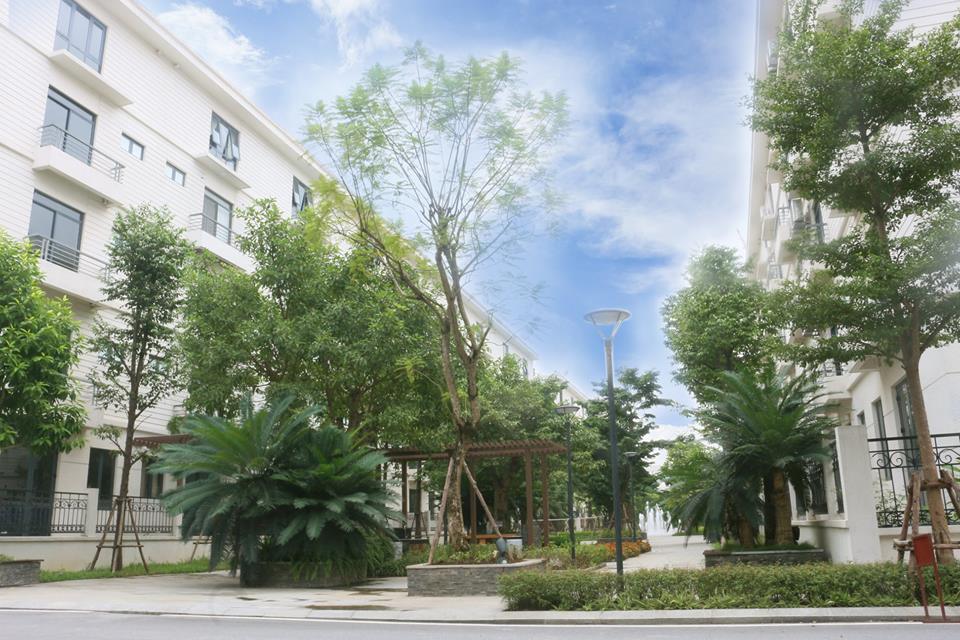 Nhà vườn Pandora Thanh Xuân, căn đẹp, giá gốc CĐT, sổ đỏ chính chủ CK 3%. LH: 0985 999 685 10188492