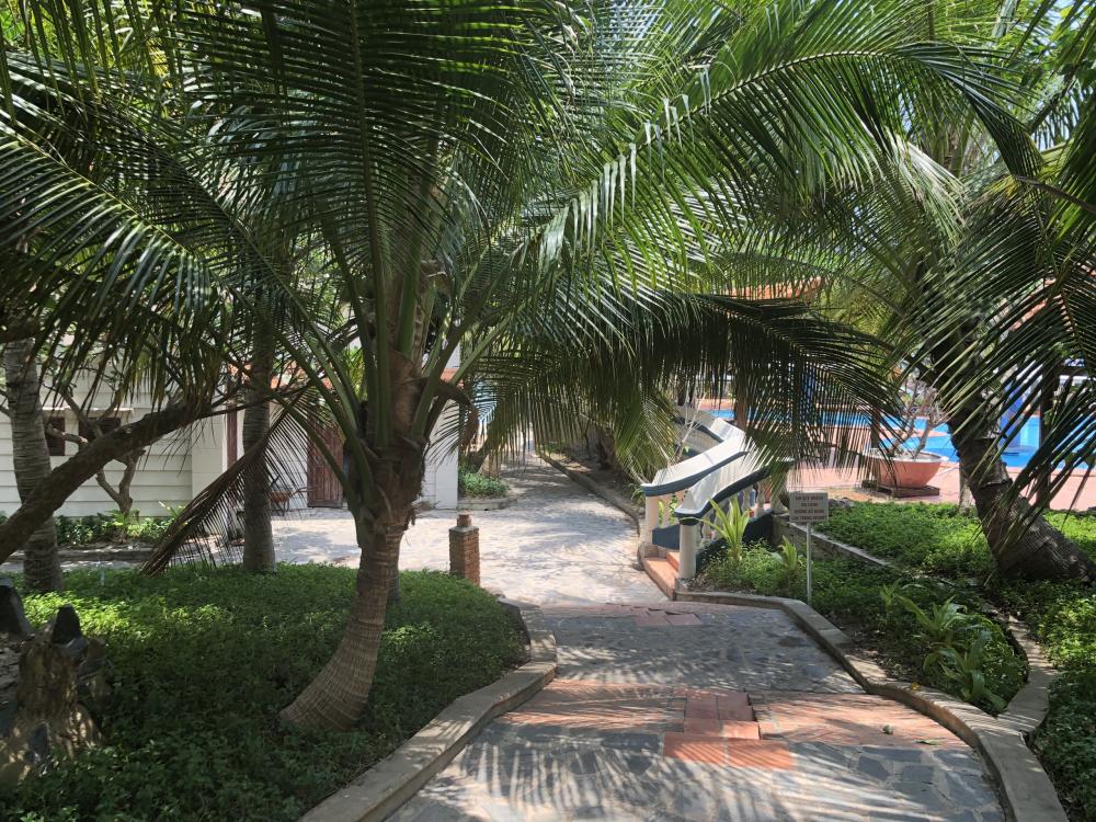 Bán Resort SÀI GÒN-SUỐI NHAM huyện Hàm Thuận Nam tỉnh Bình Thuận  10212217