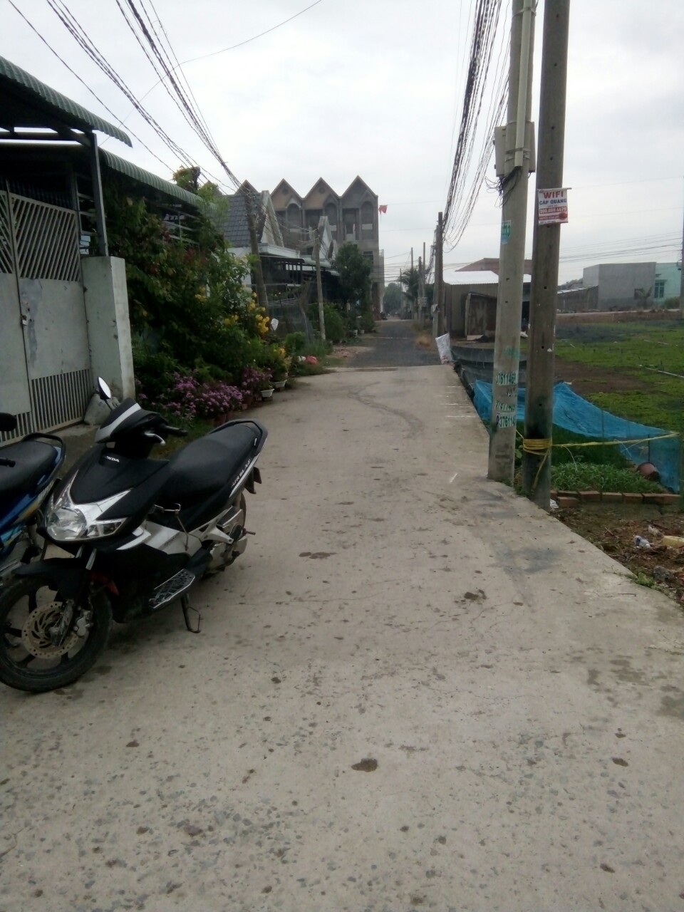 Bán đất nền ấp Kim Điền, xã Tân Kim, Cần Giuộc - Long An 10229692