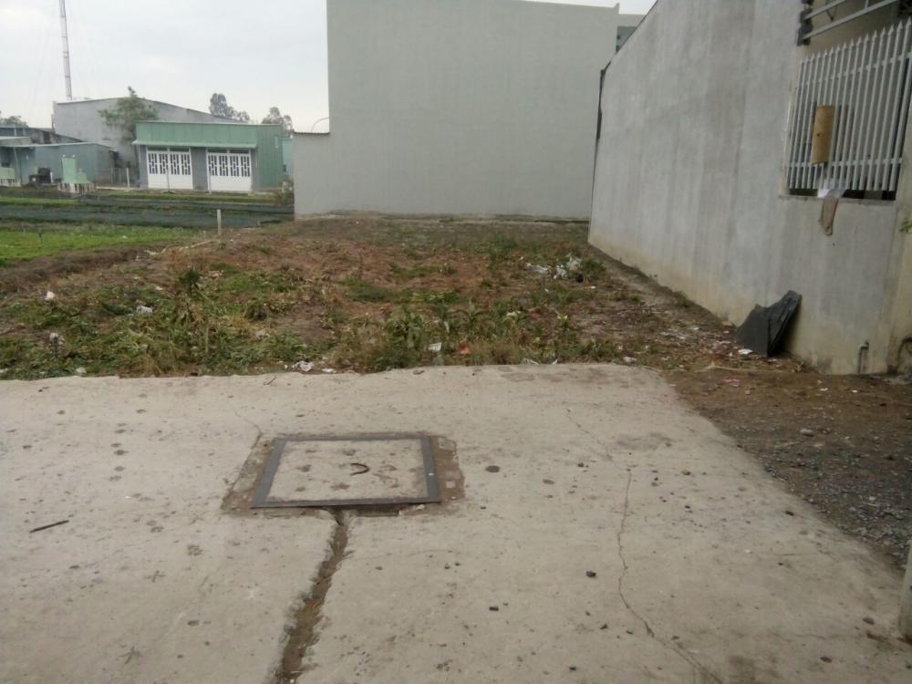 Bán đất nền ấp Kim Điền, xã Tân Kim, Cần Giuộc - Long An 10229692