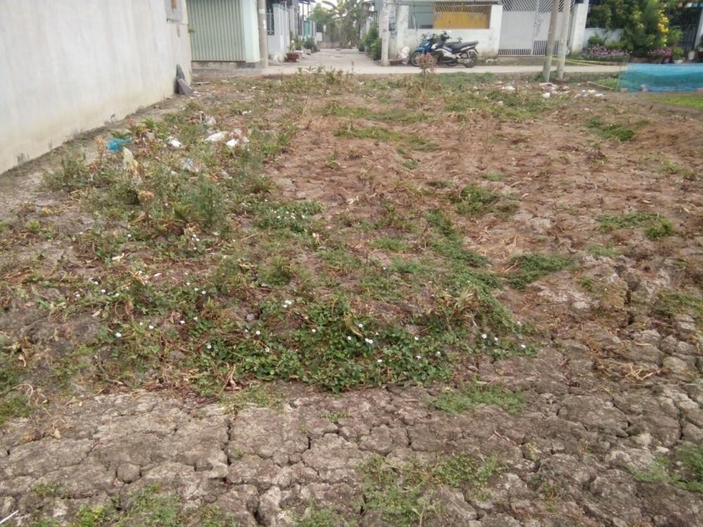 Bán đất nền ấp Kim Điền, xã Tân Kim, Cần Giuộc - Long An 10229692