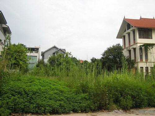Bán đất 67,5m2 khu 310 học viện nông nghiệp Việt Nam- Trâu Quỳ- Gia Lâm.Giá 3,56 tỷ 10248511
