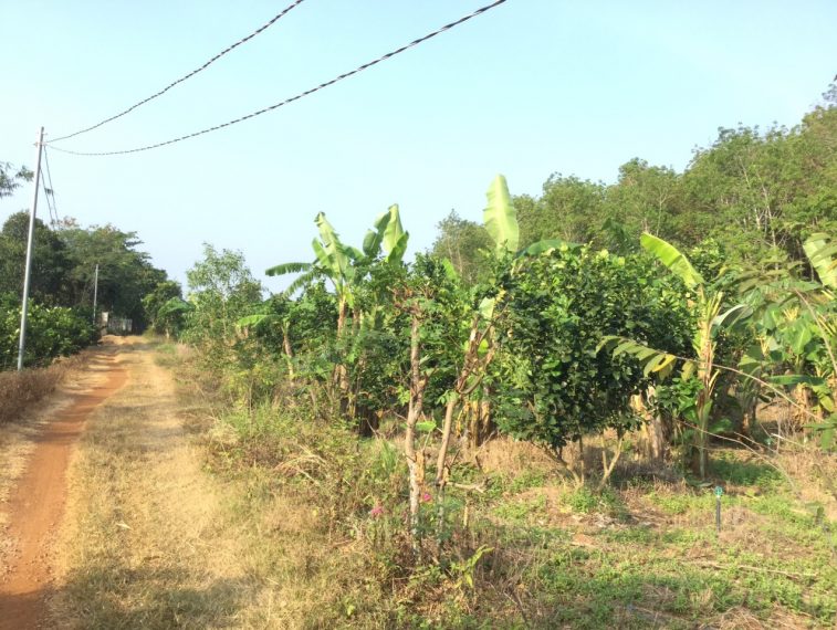 Chính chủ cần bán đất Xã Thừa Đức, Huyện Cẩm Mỹ, Đồng Nai 10356573