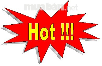 CHính chủ cho thuê nhà vị trí đẹp tại đường hiền vương tân phú tp hcm 10361936