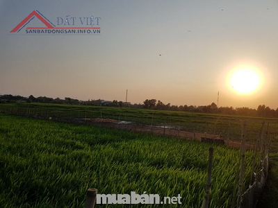 Chính chủ cần tiền bán gấp lô đất diện tích lớn tại xã Nguyễn Phích, huyện U Minh, tỉnh Cà Mau. 10370321