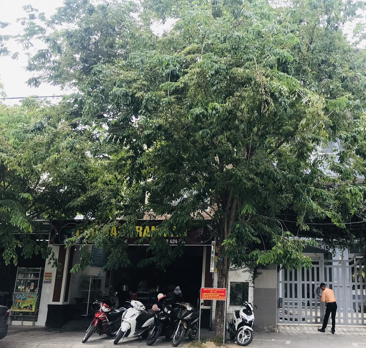 Bán gấp nhà 5 tầng mặt tiền Điện Biên Phủ thành phố Huế tiện kinh doanh buôn bán 10376441