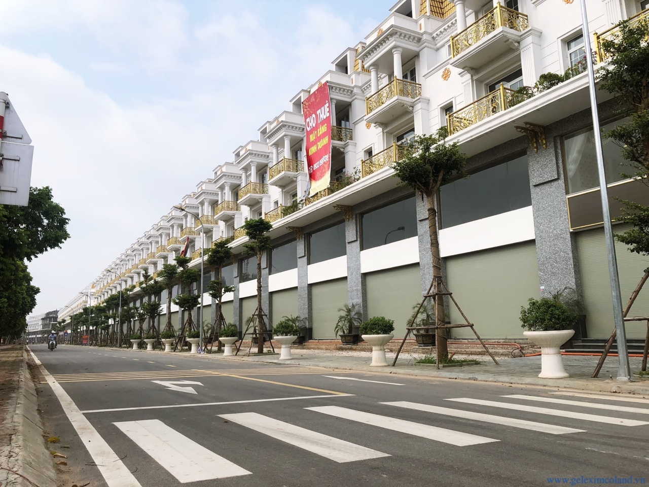 SHOPHOUSE KHU C, D MẶT ĐƯỜNG LÊ TRỌNG TẤN GELEXIMCO, HÀ ĐÔNG 10381372