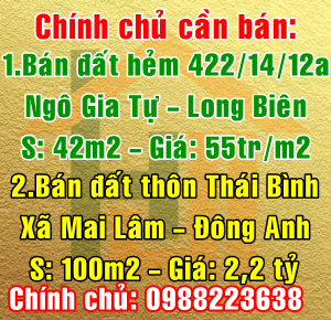 Bán đất số 22 hẻm 422/14/12a Ngô Gia Tự, Phường Đức Giang, Quận Long Biên, Hà Nội 10382332