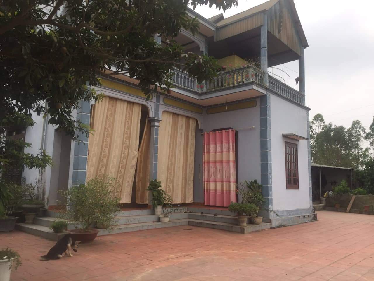 Chính chủ bán gấp nhà đất tại  thôn Đông Kỳ, xã Thụy An, Huyện Ba Vì, Hà Nội 10392168