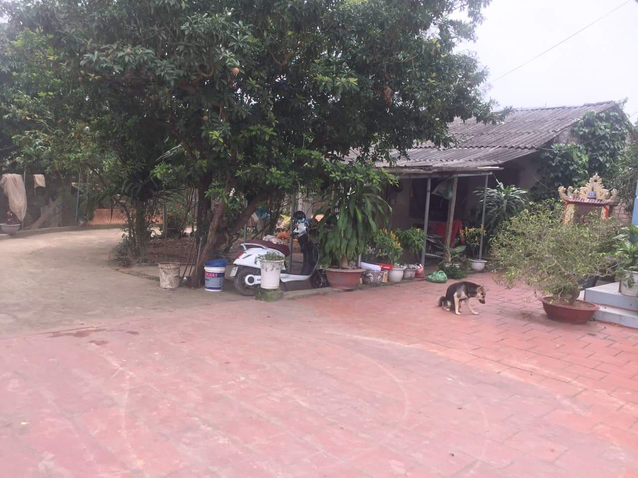 Chính chủ bán gấp nhà đất tại  thôn Đông Kỳ, xã Thụy An, Huyện Ba Vì, Hà Nội 10392168