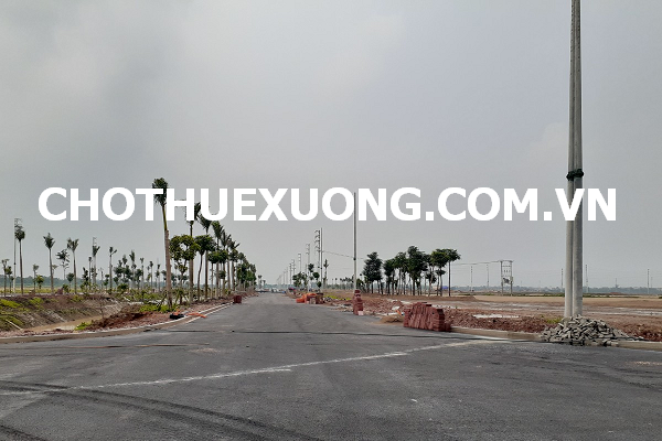 Cần bán gấp đất KCN Hòa Phú bắc Giang DT 9900m2 giá tốt  10401478