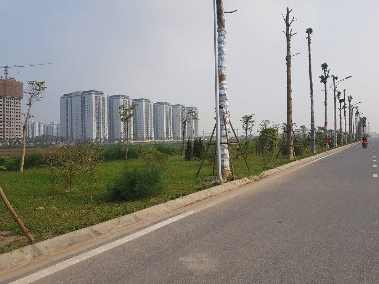 đất Biệt thự 225m2 đường 50m  hướng Nam View chung cư Thanh hà Cienco giá đầu tư rẻ nhất. 10408631