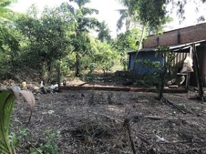 Chính Chủ Cần Bán Đất Ấp 3 , Xã Long Khê, Cần Đước , Tỉnh Long An 10420716