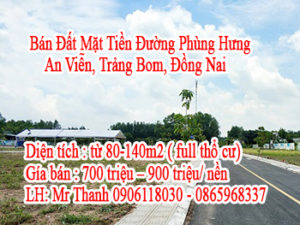 Bán Đất Mặt Tiền Đường Phùng Hưng - An Viễn - Trảng Bom - Đồng Nai 10428304