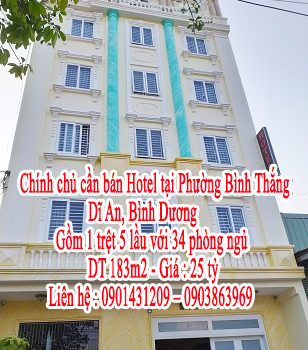 Cần bán nhà Hotel tại Phường Bình Thắng, Dĩ An, Bình Dương 10443241