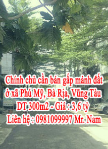 Chính chủ cần bán gấp mảnh đất ở xã Phú Mỹ, tỉnh Bà Rịa, Vũng Tàu 10455292